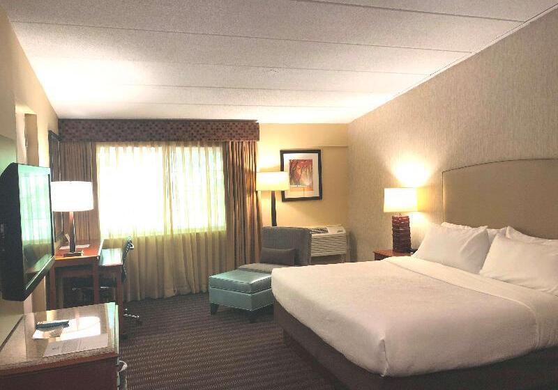스탠다드 룸 킹사이즈 침대, Best Western Springfield