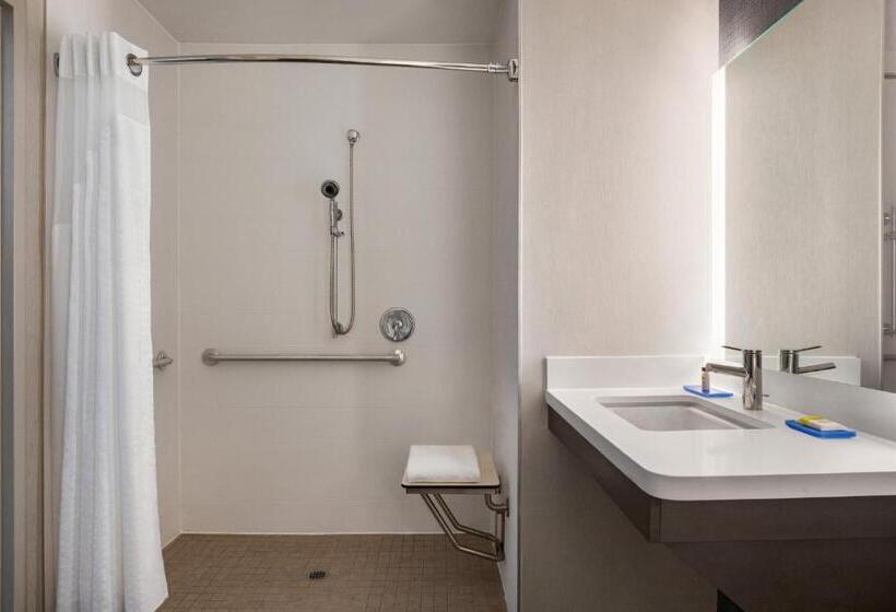 장애인을 위한 스탠다드 룸, Holiday Inn Express & Suites Denver Airport, An Ihg