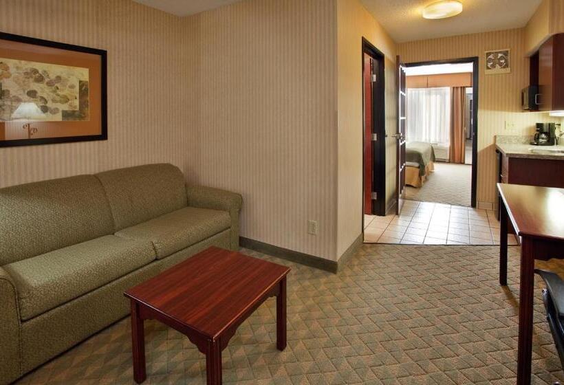 Стандартный Номер Кровать Кинг, Holiday Inn Express  & Suites Lansingleavenworth