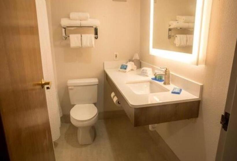 스탠다드 룸 킹사이즈 침대, Holiday Inn Express Easton, An Ihg