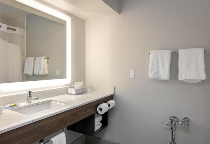 חדר דחוקס עם מיטת קינג, Holiday Inn Express & Suites Milton East I 10, An Ihg