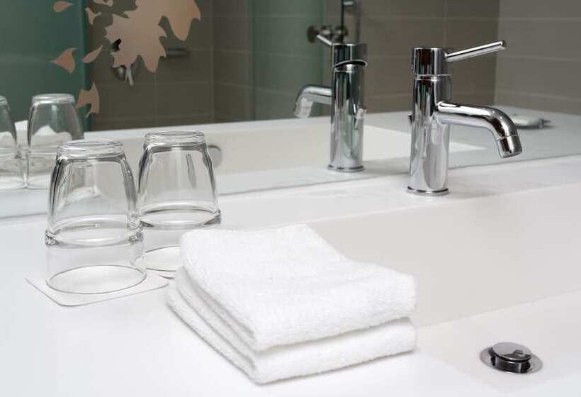 Pokój Standard 2 Łóżka Małżeńskie, Hyatt Centric Chicago Ohare