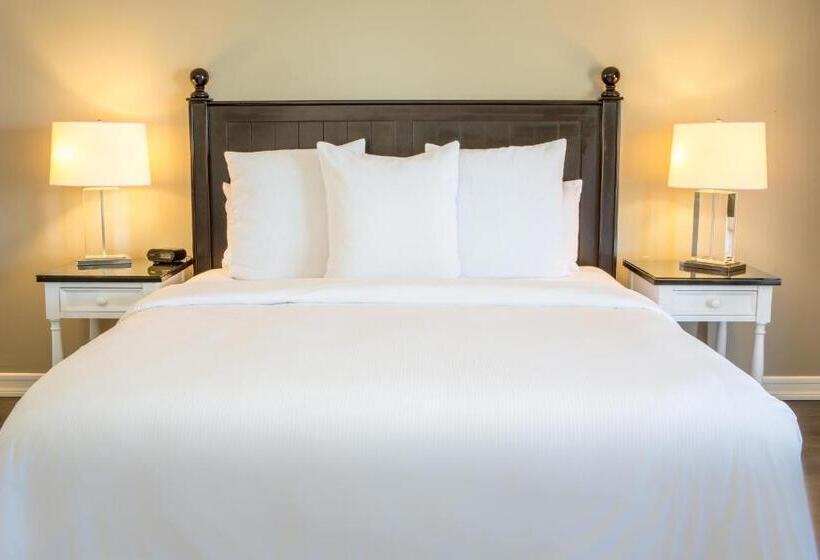 Deluxe Kamer met Kingsize Bed, Metropole