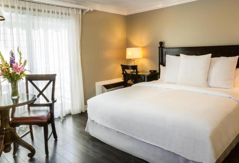 Deluxe Kamer, Metropole