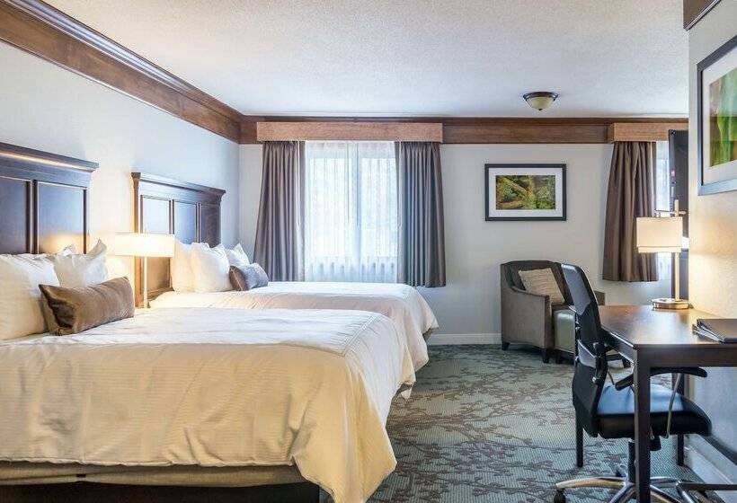 سوییت جونیور, Best Western Black Hills Lodge