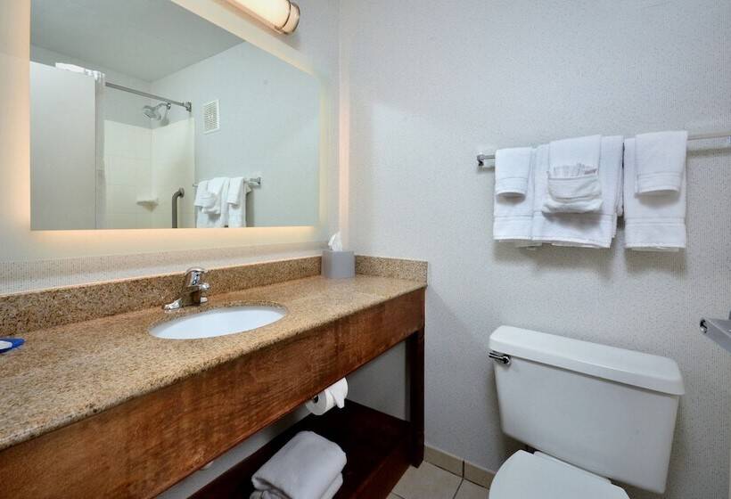Номер Стандарт, Holiday Inn Express Lynchburg, An Ihg