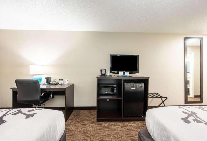 스탠다드 룸, Sleep Inn & Suites