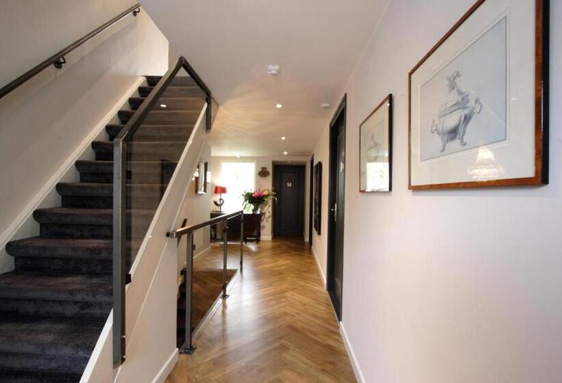 سوییت, In De Witte Dame Hotel Bar Kitchen Apartments