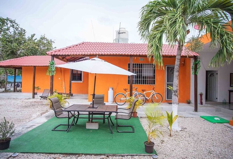 اتاق لوکس, Casa Ariana