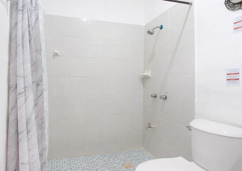 اتاق استاندارد, Casa Ariana