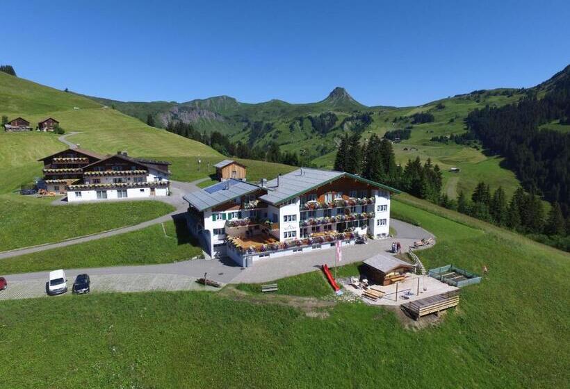 Номер Стандарт, Hertehof