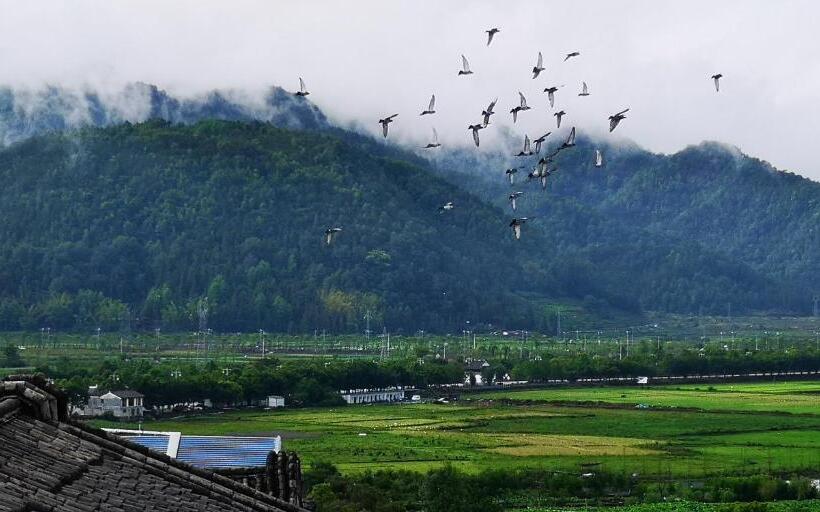 اتاق استاندارد, Floral Tengchong Mountain Residence