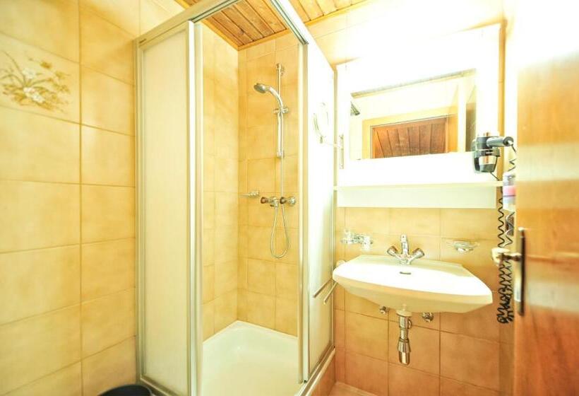 Апартаменты 1 Спальня с Балконом, Galtürerhof