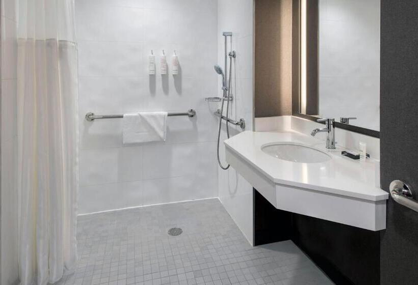キングサイズベッド、ビュー付きデラックスルーム, New York Marriott At The Brooklyn Bridge