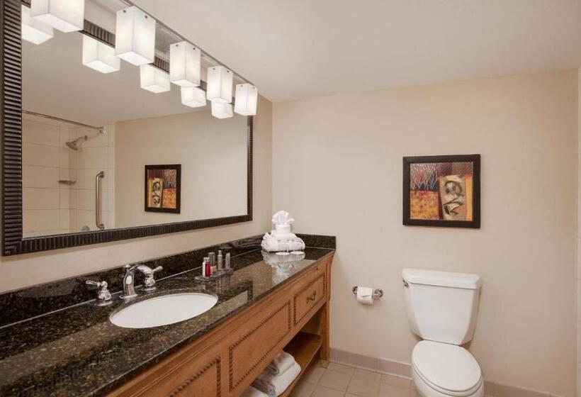 스탠다드 룸, Tucson Marriott University Park