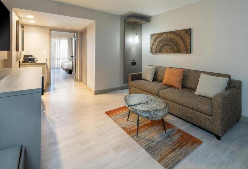 스위트 킹사이즈 침대, Tucson Marriott University Park