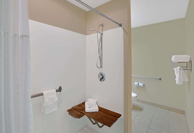 اتاق استاندارد برای معلولان, Microtel Inn By Wyndham University Place