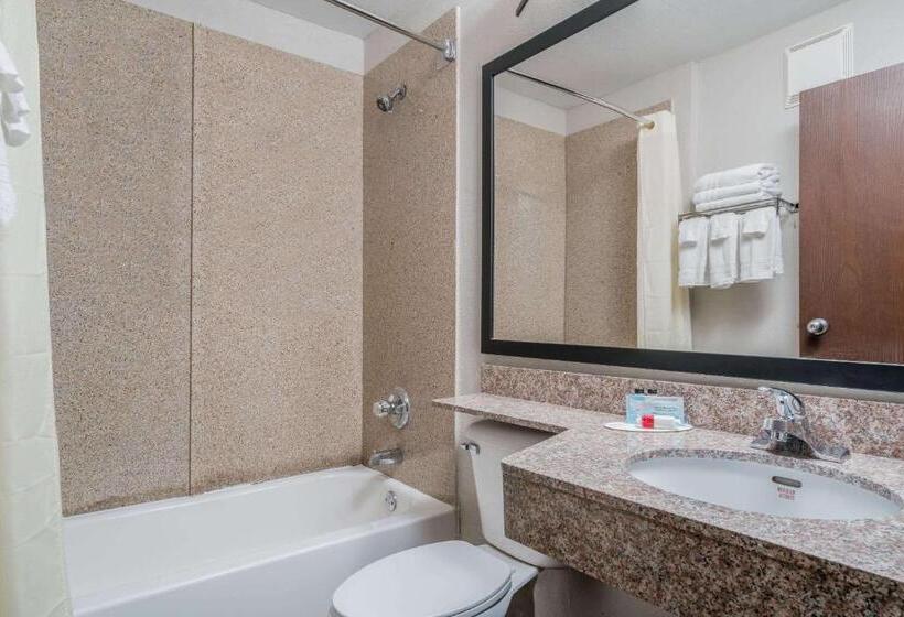 Номер Стандарт, Microtel Inn & Suites By Wyndham Rochester North Mayo Clinic