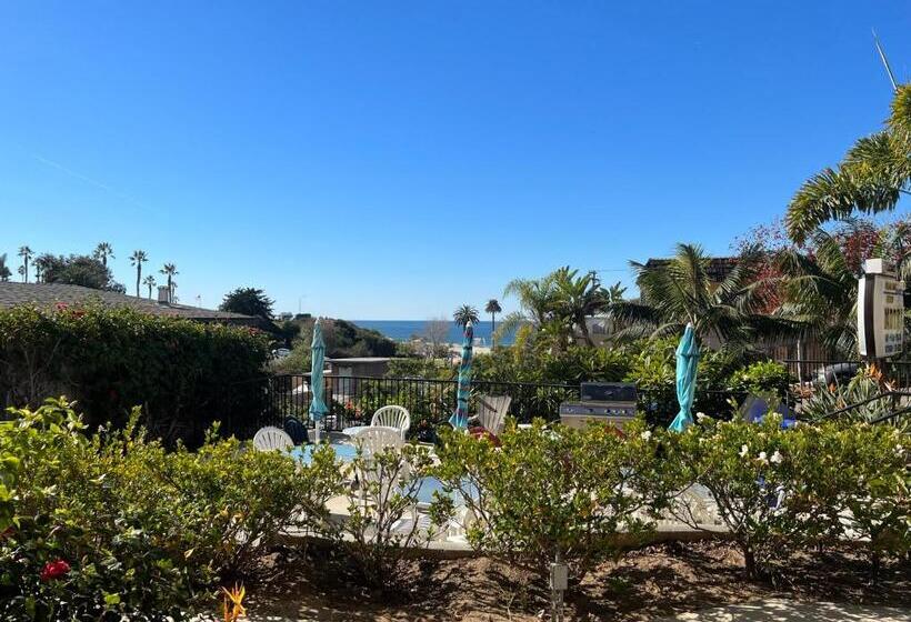 스탠다드 룸, Moonlight Beach Motel