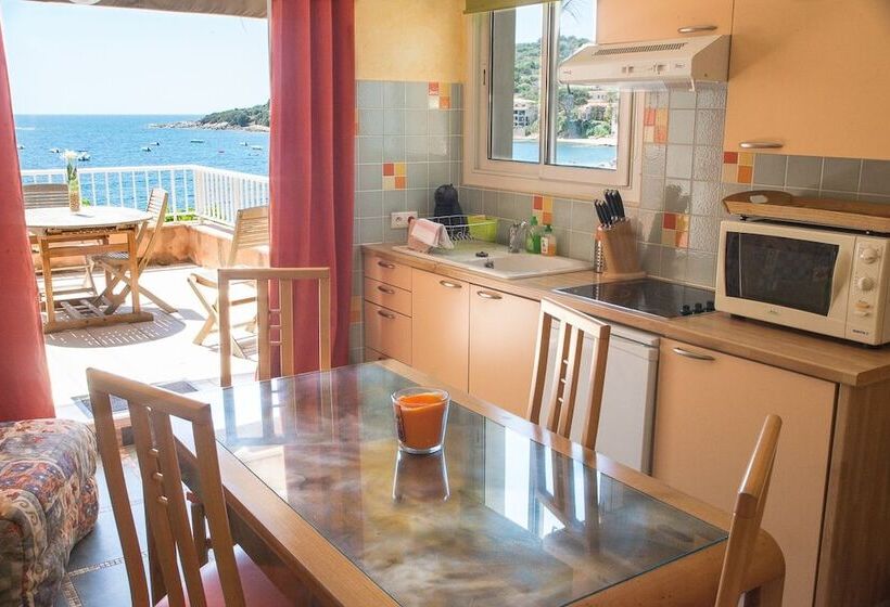 Студия Стандарт Вид на Море, Residence Villa Nova
