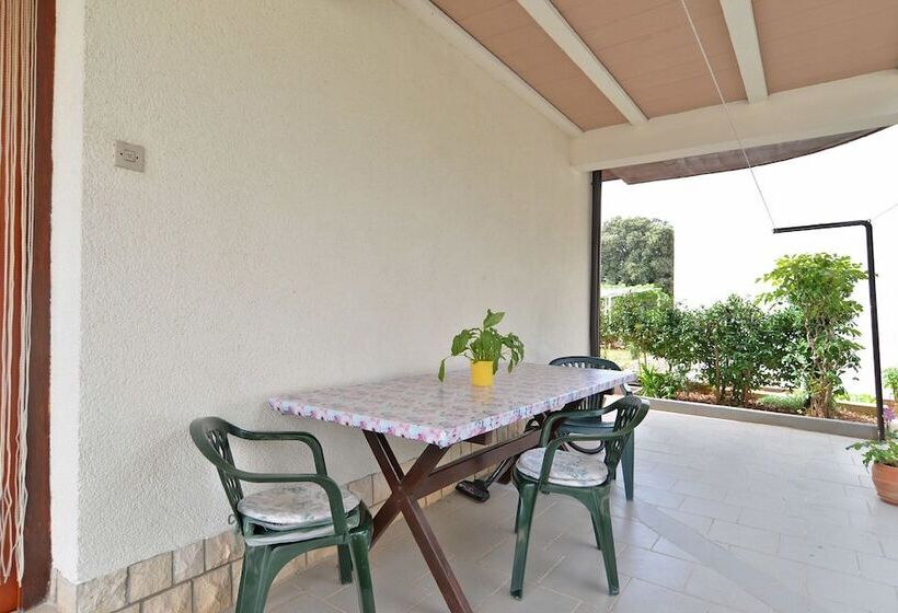 آپارتمان 1 خوابه, Apartment 1552