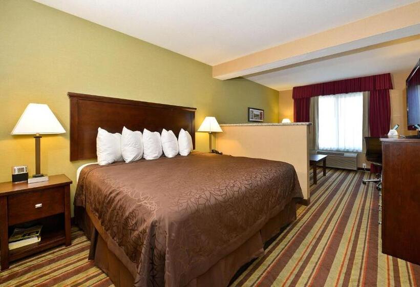 스탠다드 룸 킹사이즈 침대, Best Western Wilsonville Inn & Suites