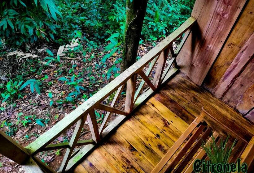 Семейный Номер Вид на Горы, Citronela Lodge Corcovado