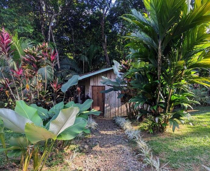 Семейный Номер Вид на Горы, Citronela Lodge Corcovado