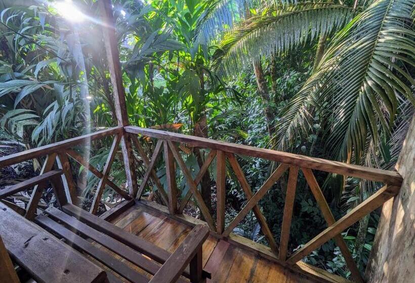 Бунгало Стандарт Вид на Сад, Citronela Lodge Corcovado