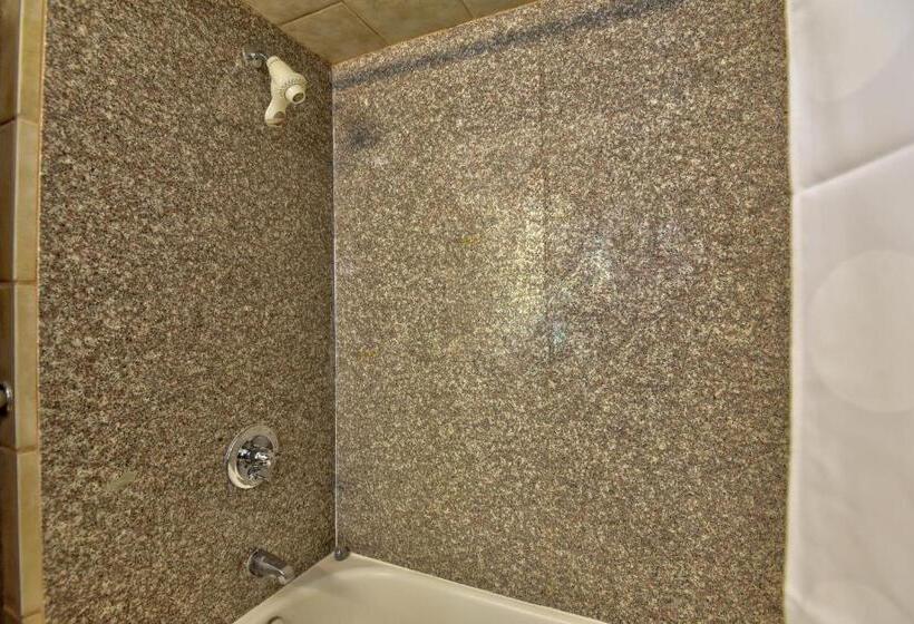 اتاق استاندارد, Ramada By Wyndham Oklahoma City Airport North