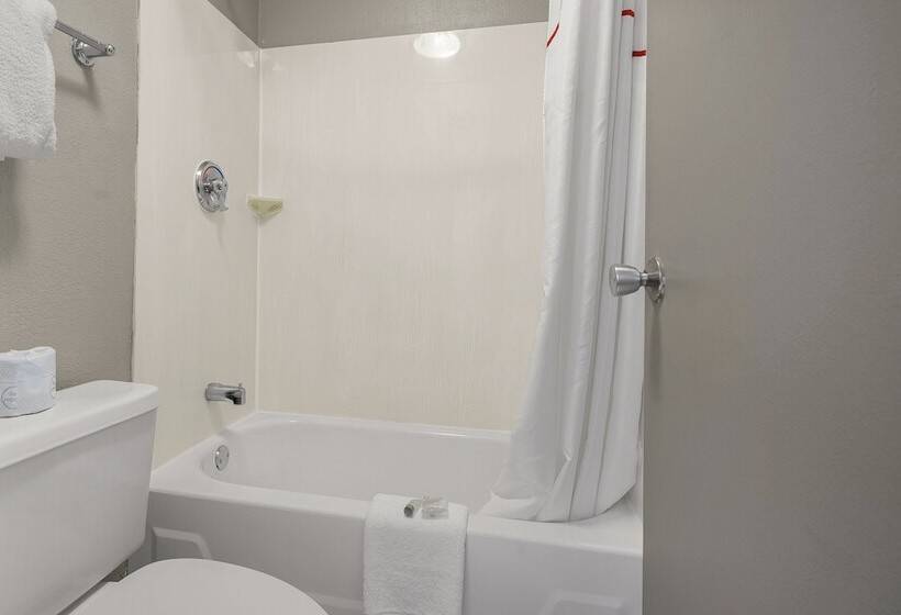 Номер Deluxe, Red Roof Inn Detroit  Royal Oak/ Madison Heights