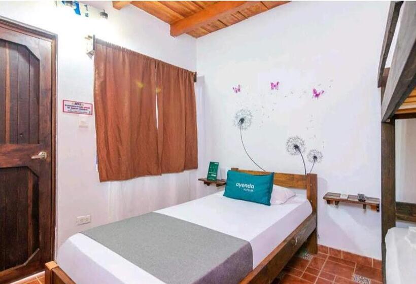 اتاق سوپریور سه تخته, Kayena Hostel