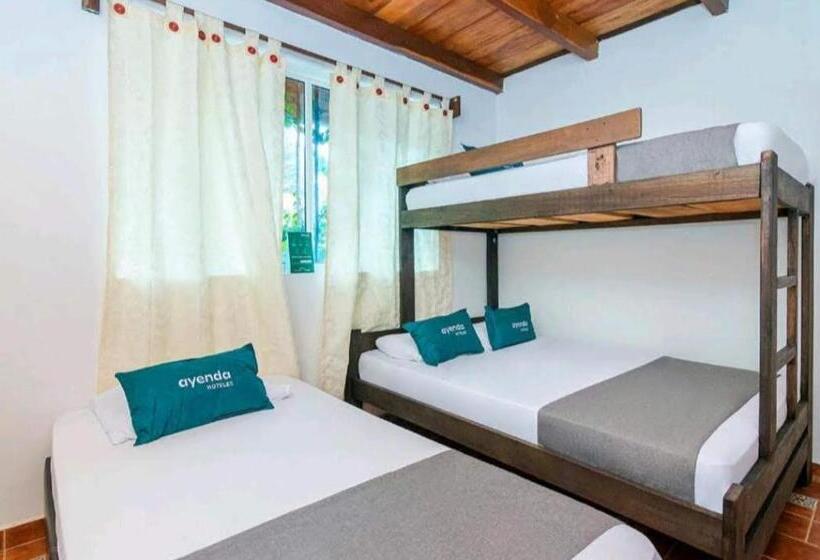 اتاق استاندارد چهار تخته, Kayena Hostel