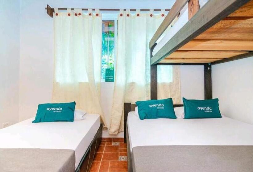 اتاق استاندارد چهار تخته, Kayena Hostel