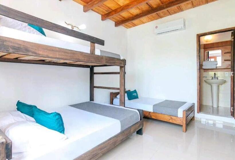 اتاق استاندارد چهار تخته, Kayena Hostel