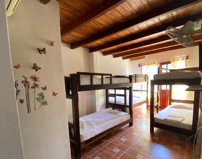 اتاق سوپریور خانوادگی, Kayena Hostel