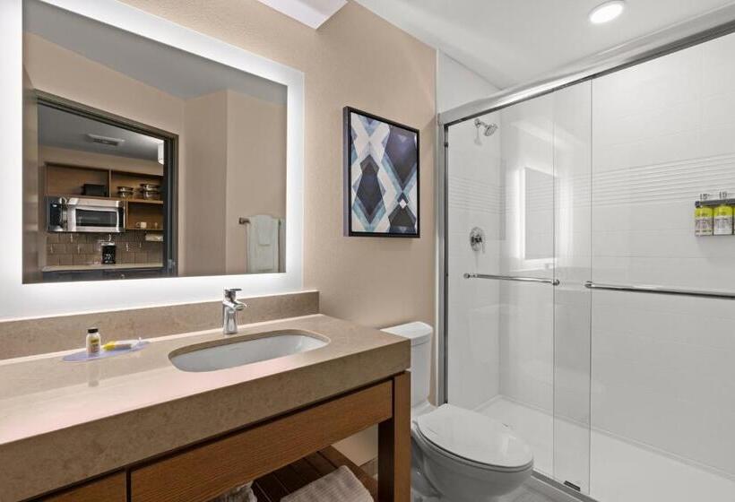 Студия Стандарт, Candlewood Suites Sumner Puyallup Area, An Ihg