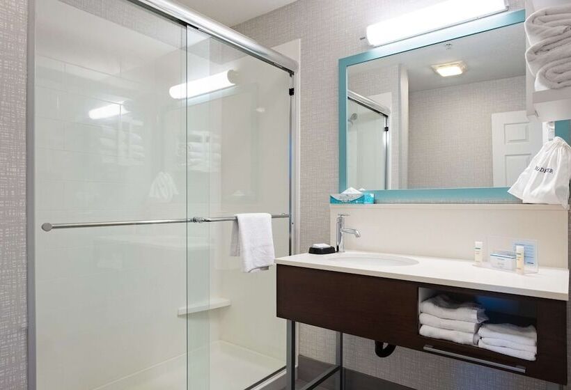 Номер Стандарт, Hampton Inn & Suites Salt Lake City Airport