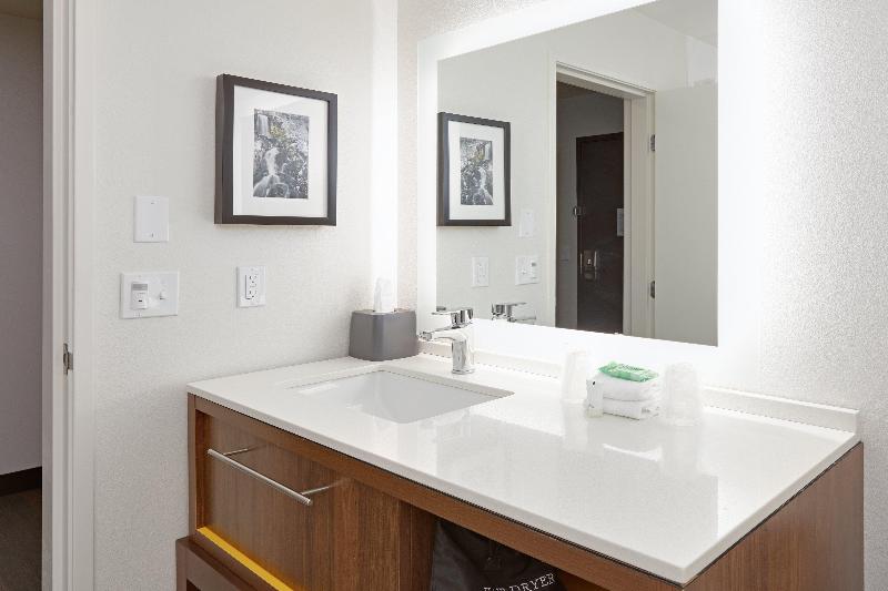Suíte Executivo, Holiday Inn Twin Falls, An Ihg