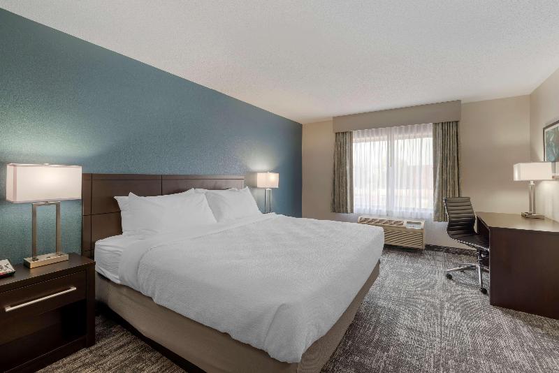اتاق استاندارد با تخت بزرگ, Best Western Watertown Inn And Suites