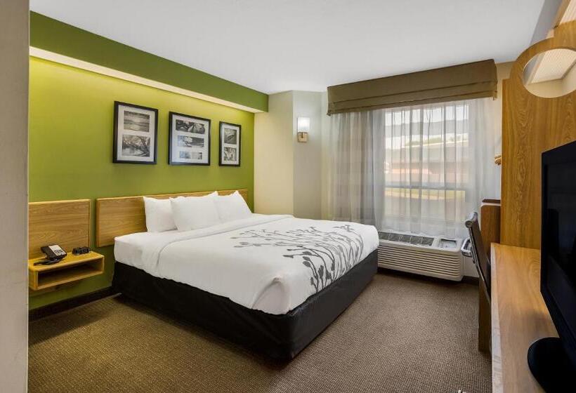Quarto Estandar Cama King para Deficientes Físicos, Sleep Inn