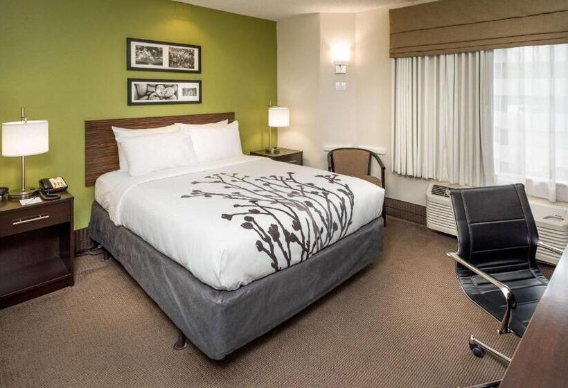 标准间, Sleep Inn