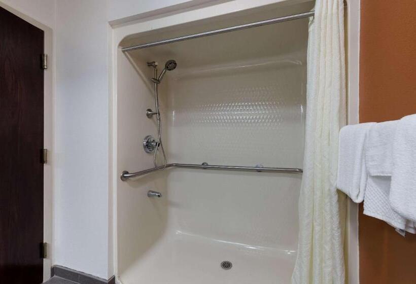 Номер Стандарт Адаптированный для Инвалидов, Sleep Inn Kernersville I 40