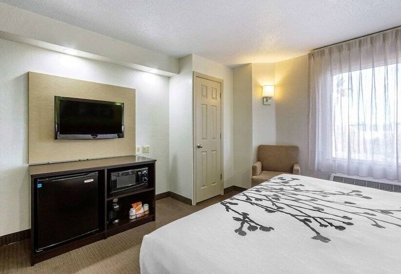 חדר סטנדרט שתי מיטות זוגיות, Sleep Inn Near Busch Gardens   Usf