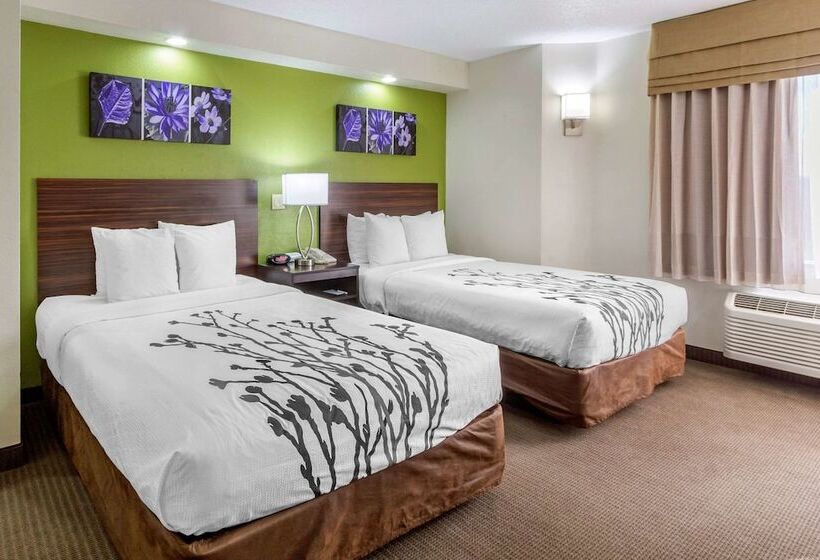 חדר סטנדרט שתי מיטות זוגיות, Sleep Inn Near Busch Gardens   Usf