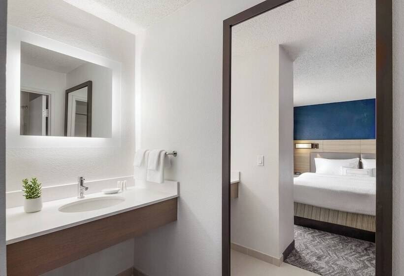 استودیوی استاندارد, Springhill Suites Tempe At Arizona Mills Mall