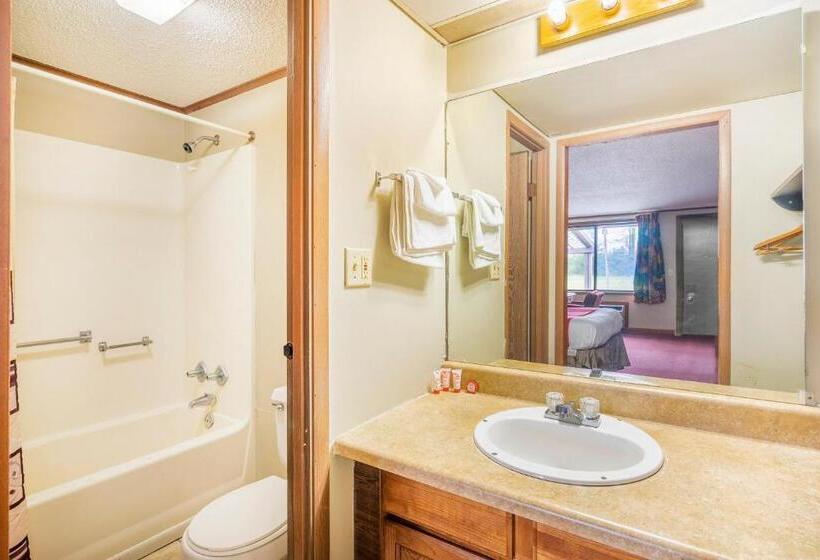 스탠다드 싱글 룸, Oyo Hotel Daleville Al Hwy 84