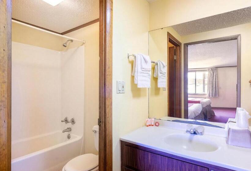Апартаменты 2 Спальни, Oyo Hotel Daleville Al Hwy 84