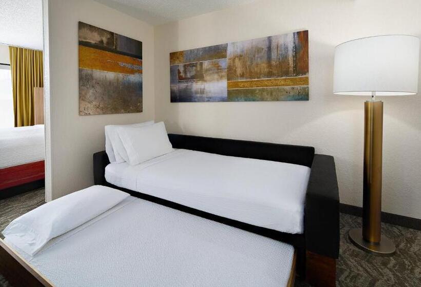 带大床的套房, Springhill Suites Houston Hobby Airport