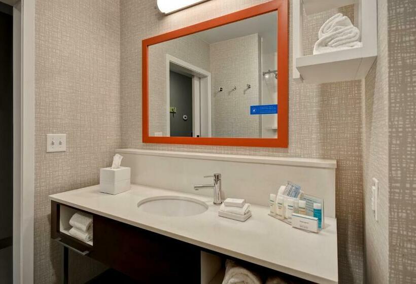 장애인을 위한 킹사이즈 침대 스탠다드 룸, Hampton Inn Pleasant View, Tn